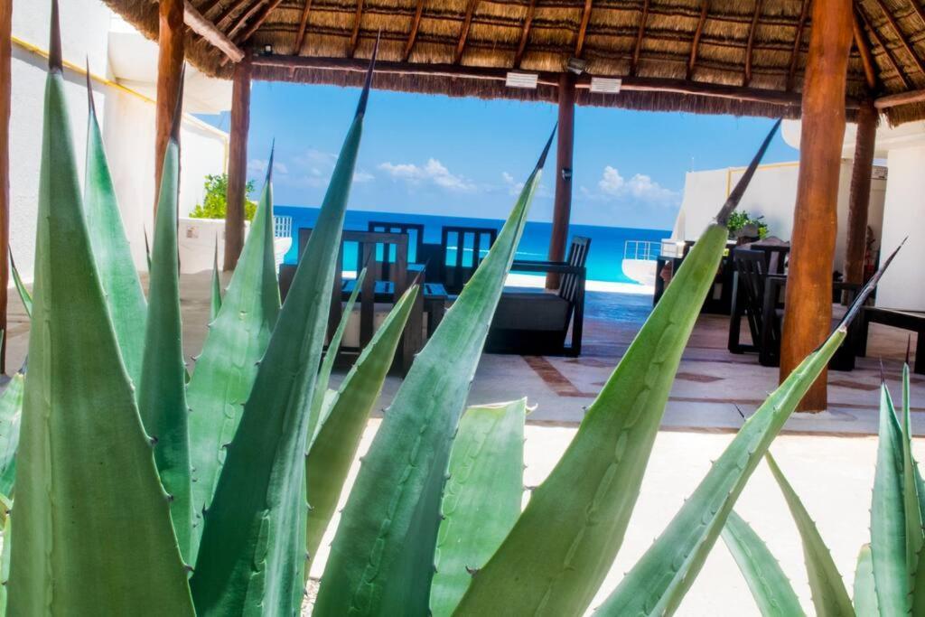 Ocean Front Villa Marlin, Best Location In Hotel Zone #109 Канкун Экстерьер фото