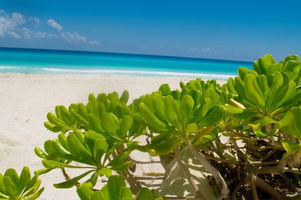 Ocean Front Villa Marlin, Best Location In Hotel Zone #109 Канкун Экстерьер фото